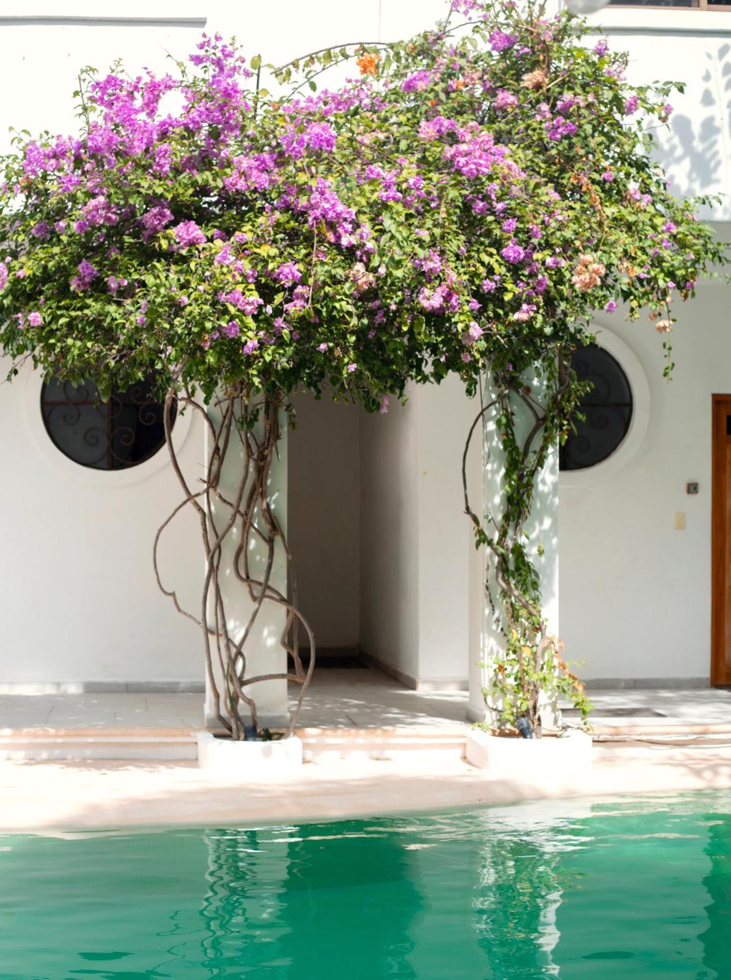 Sonido Del Mar Hotel Boutique & Yoga Loft Τουλούμ Εξωτερικό φωτογραφία